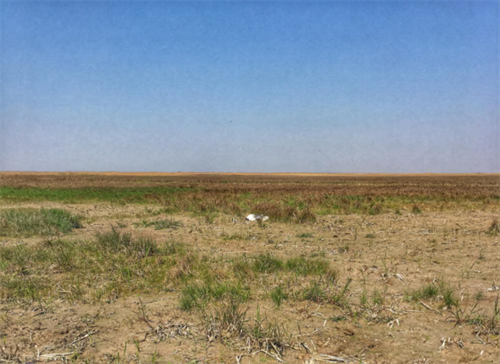 乐橙国际,湖南野生动物追踪,湖南卫星追踪器,湖南追踪器