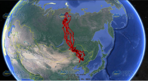 乐橙国际,湖南野生动物追踪,湖南卫星追踪器,湖南追踪器