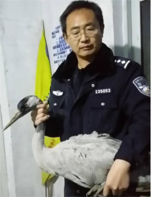 乐橙国际,湖南野生动物追踪,湖南卫星追踪器,湖南追踪器