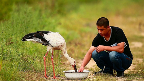 乐橙国际,湖南野生动物追踪,湖南卫星追踪器,湖南追踪器
