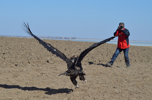 乐橙国际,湖南野生动物追踪,湖南卫星追踪器,湖南追踪器