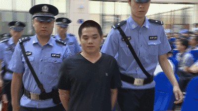 乐橙国际,湖南野生动物追踪,湖南卫星追踪器,湖南追踪器