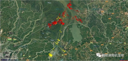 乐橙国际,湖南野生动物追踪,湖南卫星追踪器,湖南追踪器