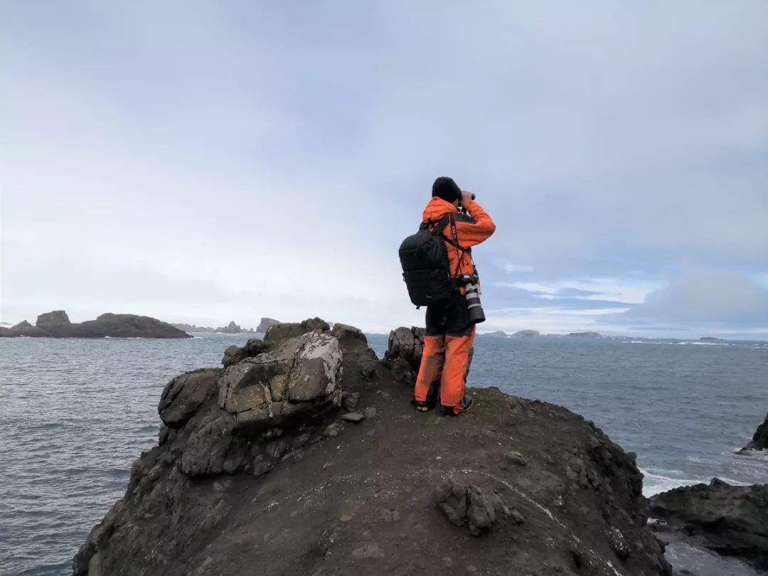 乐橙国际,湖南野生动物追踪,湖南卫星追踪器,湖南追踪器
