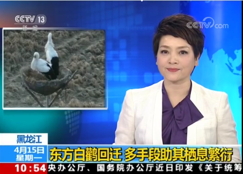 乐橙国际,湖南野生动物追踪,湖南卫星追踪器,湖南追踪器