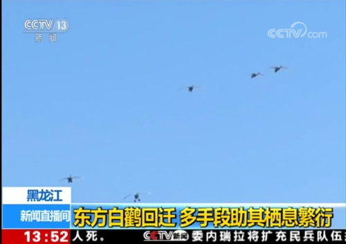 乐橙国际,湖南野生动物追踪,湖南卫星追踪器,湖南追踪器