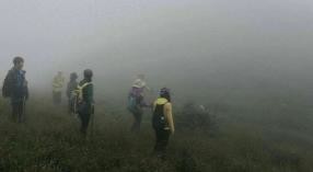 乐橙国际,湖南野生动物追踪,湖南卫星追踪器,湖南追踪器