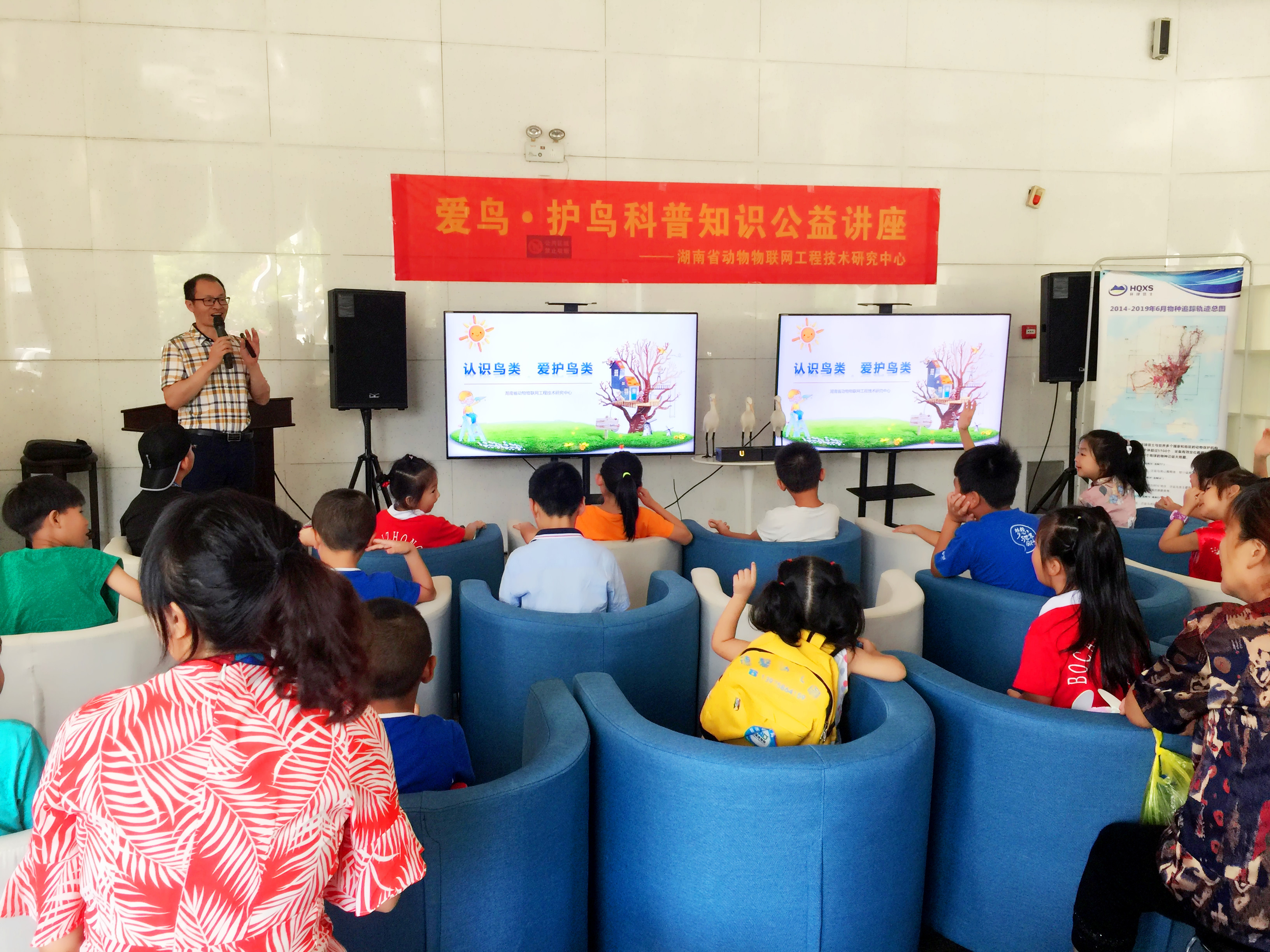 攸县兴林油茶,油茶苗,油茶果,轻基质杯苗,裸根苗,油茶苗价钱,油茶苗批发,油茶苗基地