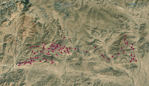 乐橙国际,湖南野生动物追踪,湖南卫星追踪器,湖南追踪器
