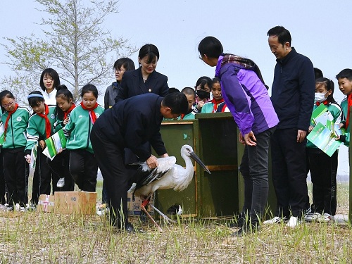 乐橙国际,湖南野生动物追踪,湖南卫星追踪器,湖南追踪器