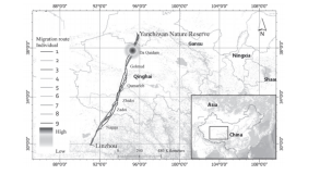 乐橙国际,湖南野生动物追踪,湖南卫星追踪器,湖南追踪器