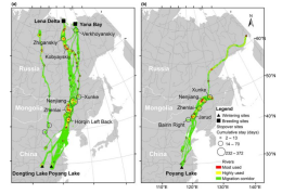 乐橙国际,湖南野生动物追踪,湖南卫星追踪器,湖南追踪器