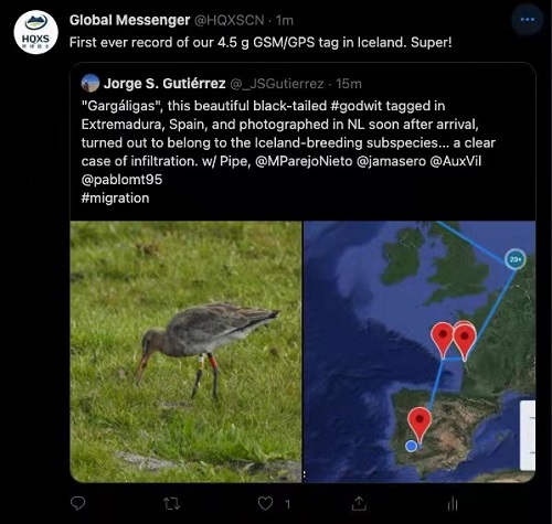 乐橙国际,湖南野生动物追踪,湖南卫星追踪器,湖南追踪器