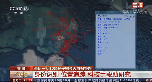 乐橙国际,湖南野生动物追踪,湖南卫星追踪器,湖南追踪器