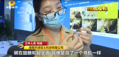 乐橙国际,湖南野生动物追踪,湖南卫星追踪器,湖南追踪器