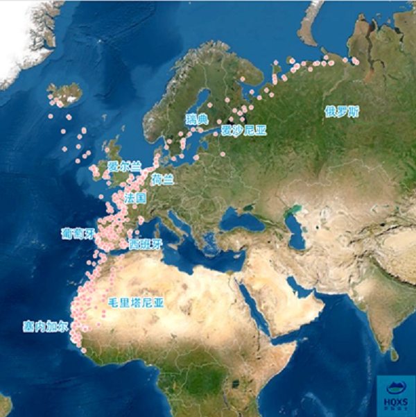 乐橙国际,湖南野生动物追踪,湖南卫星追踪器,湖南追踪器