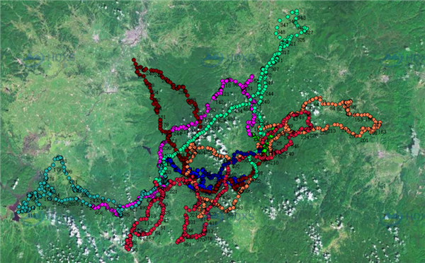 乐橙国际,湖南野生动物追踪,湖南卫星追踪器,湖南追踪器