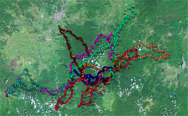 乐橙国际,湖南野生动物追踪,湖南卫星追踪器,湖南追踪器
