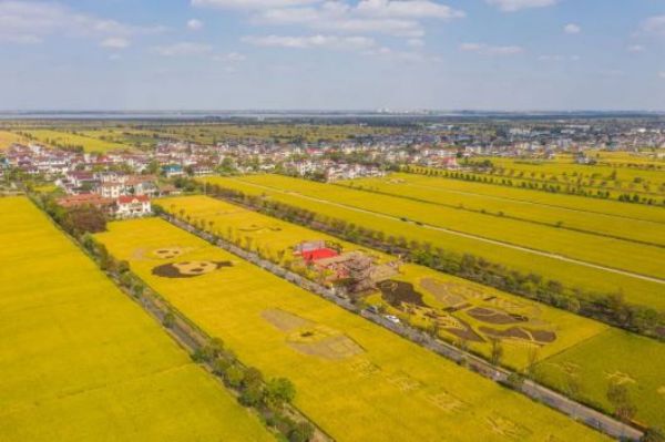 乐橙国际,湖南野生动物追踪,湖南卫星追踪器,湖南追踪器