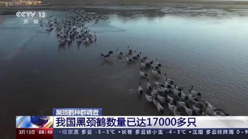 乐橙国际,湖南野生动物追踪,湖南卫星追踪器,湖南追踪器