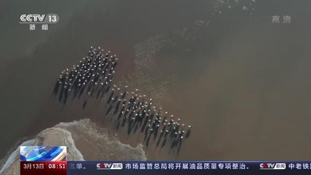 乐橙国际,湖南野生动物追踪,湖南卫星追踪器,湖南追踪器