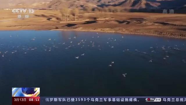 乐橙国际,湖南野生动物追踪,湖南卫星追踪器,湖南追踪器