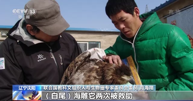 乐橙国际,湖南野生动物追踪,湖南卫星追踪器,湖南追踪器