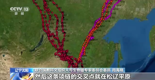 乐橙国际,湖南野生动物追踪,湖南卫星追踪器,湖南追踪器