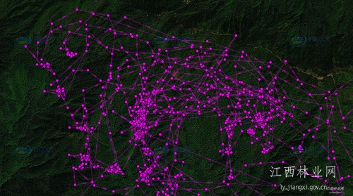 乐橙国际,湖南野生动物追踪,湖南卫星追踪器,湖南追踪器
