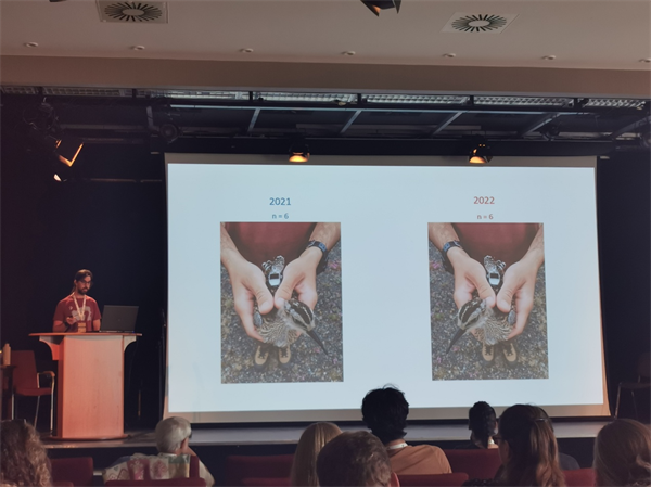 乐橙国际,湖南野生动物追踪,湖南卫星追踪器,湖南追踪器