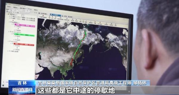 乐橙国际,湖南野生动物追踪,湖南卫星追踪器,湖南追踪器