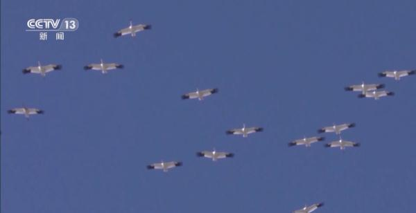 乐橙国际,湖南野生动物追踪,湖南卫星追踪器,湖南追踪器