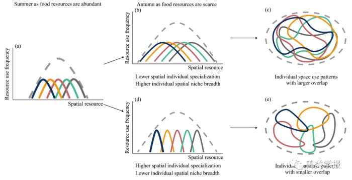 乐橙国际,湖南野生动物追踪,湖南卫星追踪器,湖南追踪器