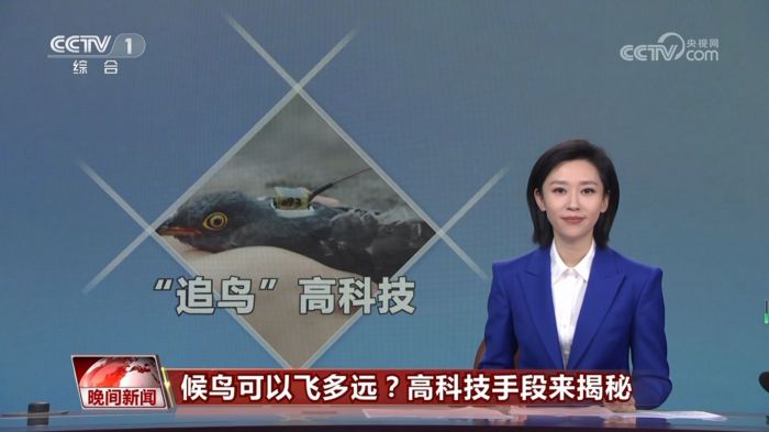 乐橙国际,湖南野生动物追踪,湖南卫星追踪器,湖南追踪器