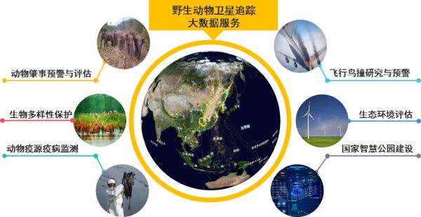 乐橙国际,湖南野生动物追踪,湖南卫星追踪器,湖南追踪器