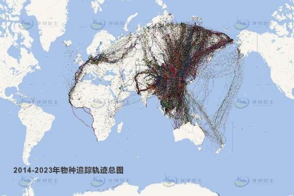 乐橙国际,湖南野生动物追踪,湖南卫星追踪器,湖南追踪器