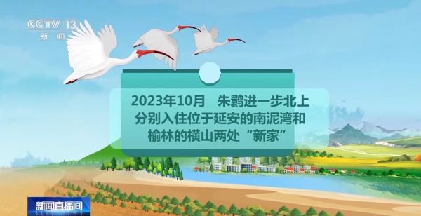 乐橙国际,湖南野生动物追踪,湖南卫星追踪器,湖南追踪器