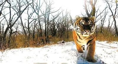 乐橙国际·lc8(中国游)官方网站