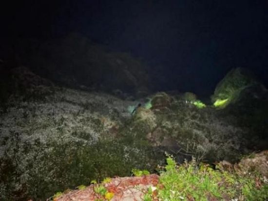 乐橙国际,湖南野生动物追踪,湖南卫星追踪器,湖南追踪器