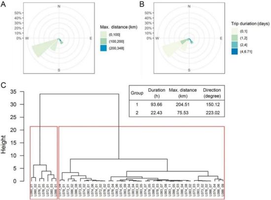 乐橙国际,湖南野生动物追踪,湖南卫星追踪器,湖南追踪器