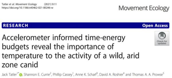 乐橙国际,湖南野生动物追踪,湖南卫星追踪器,湖南追踪器