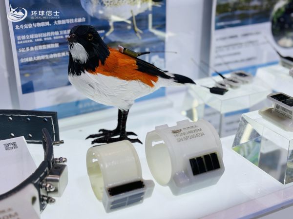 乐橙国际,湖南野生动物追踪,湖南卫星追踪器,湖南追踪器