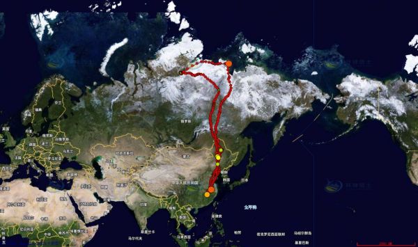 乐橙国际,湖南野生动物追踪,湖南卫星追踪器,湖南追踪器