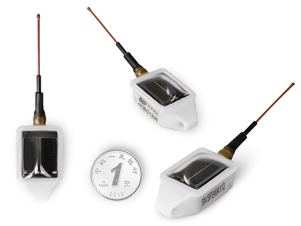 乐橙国际,湖南野生动物追踪,湖南卫星追踪器,湖南追踪器