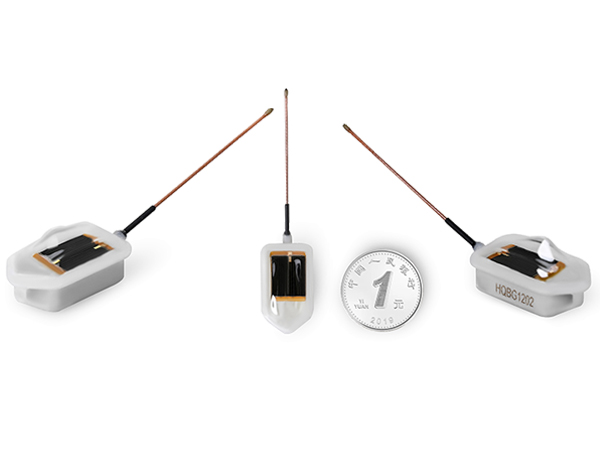 乐橙国际,湖南野生动物追踪,湖南卫星追踪器,湖南追踪器