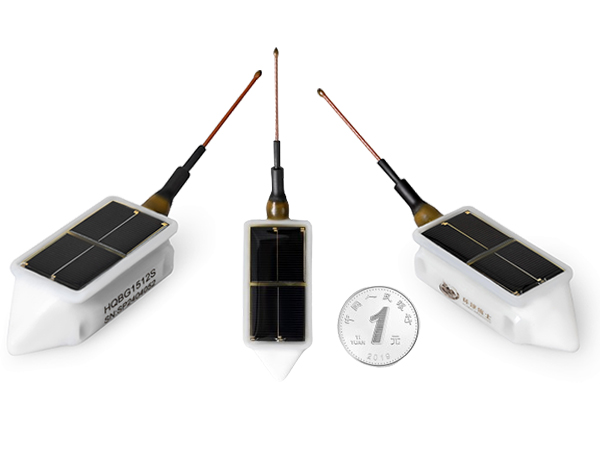 乐橙国际,湖南野生动物追踪,湖南卫星追踪器,湖南追踪器