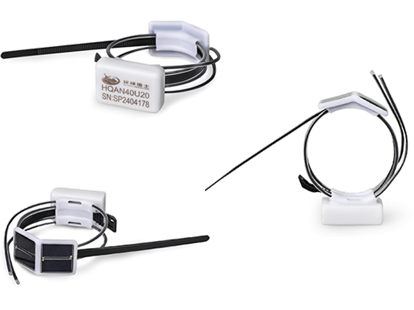 乐橙国际,湖南野生动物追踪,湖南卫星追踪器,湖南追踪器