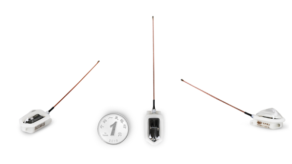乐橙国际,湖南野生动物追踪,湖南卫星追踪器,湖南追踪器