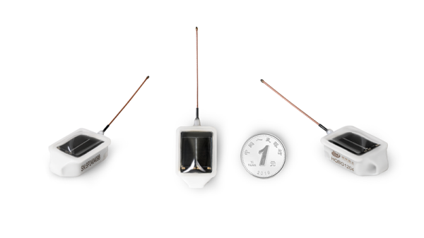 乐橙国际,湖南野生动物追踪,湖南卫星追踪器,湖南追踪器