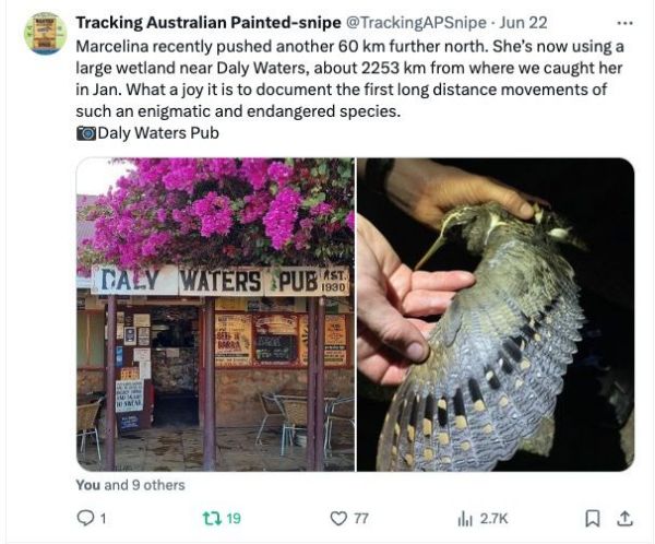 乐橙国际,湖南野生动物追踪,湖南卫星追踪器,湖南追踪器